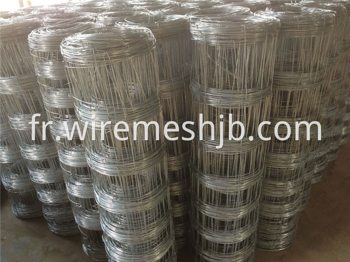 Galvanized Cattle Panels